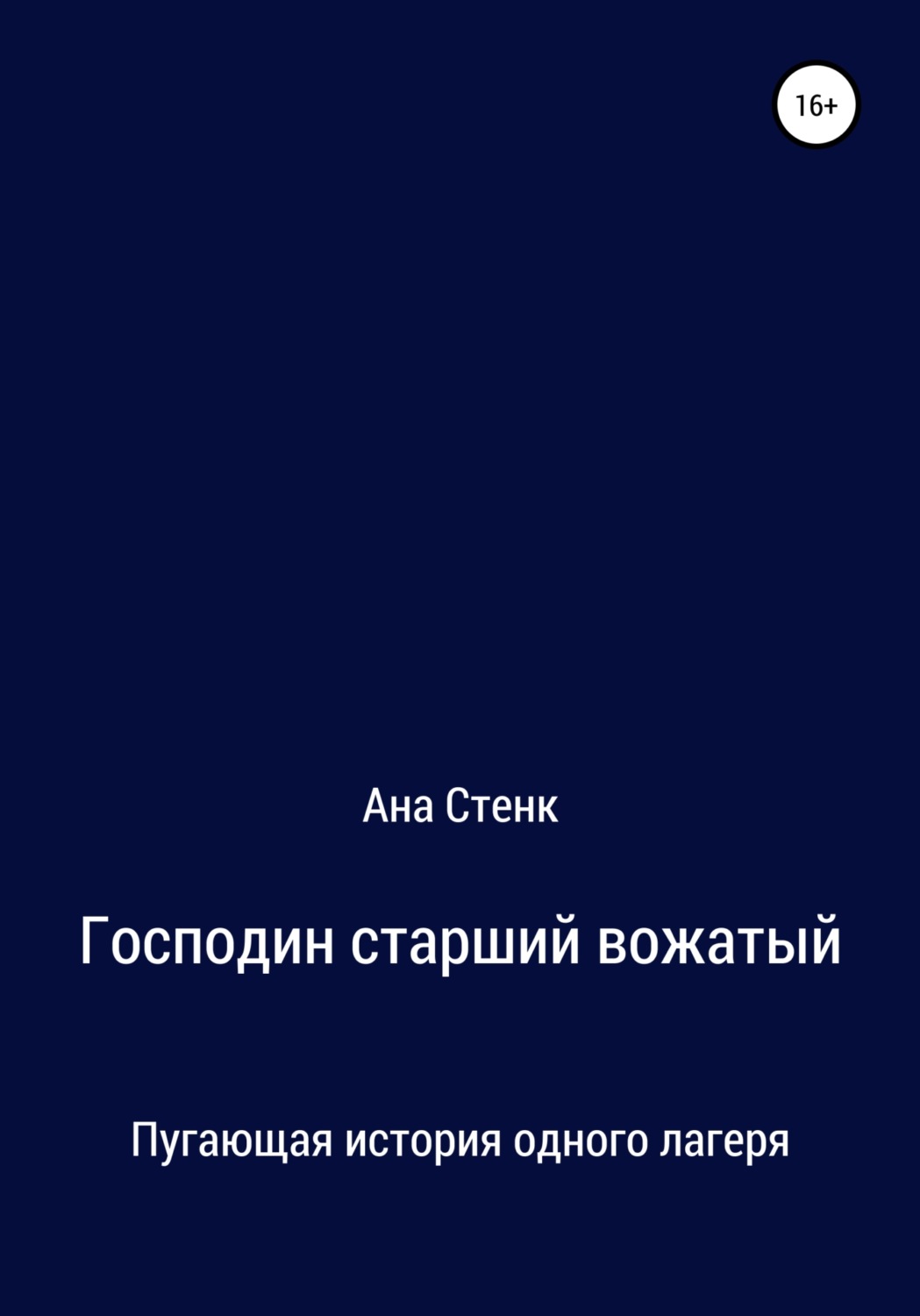 Обложка книги «Господин старший вожатый»