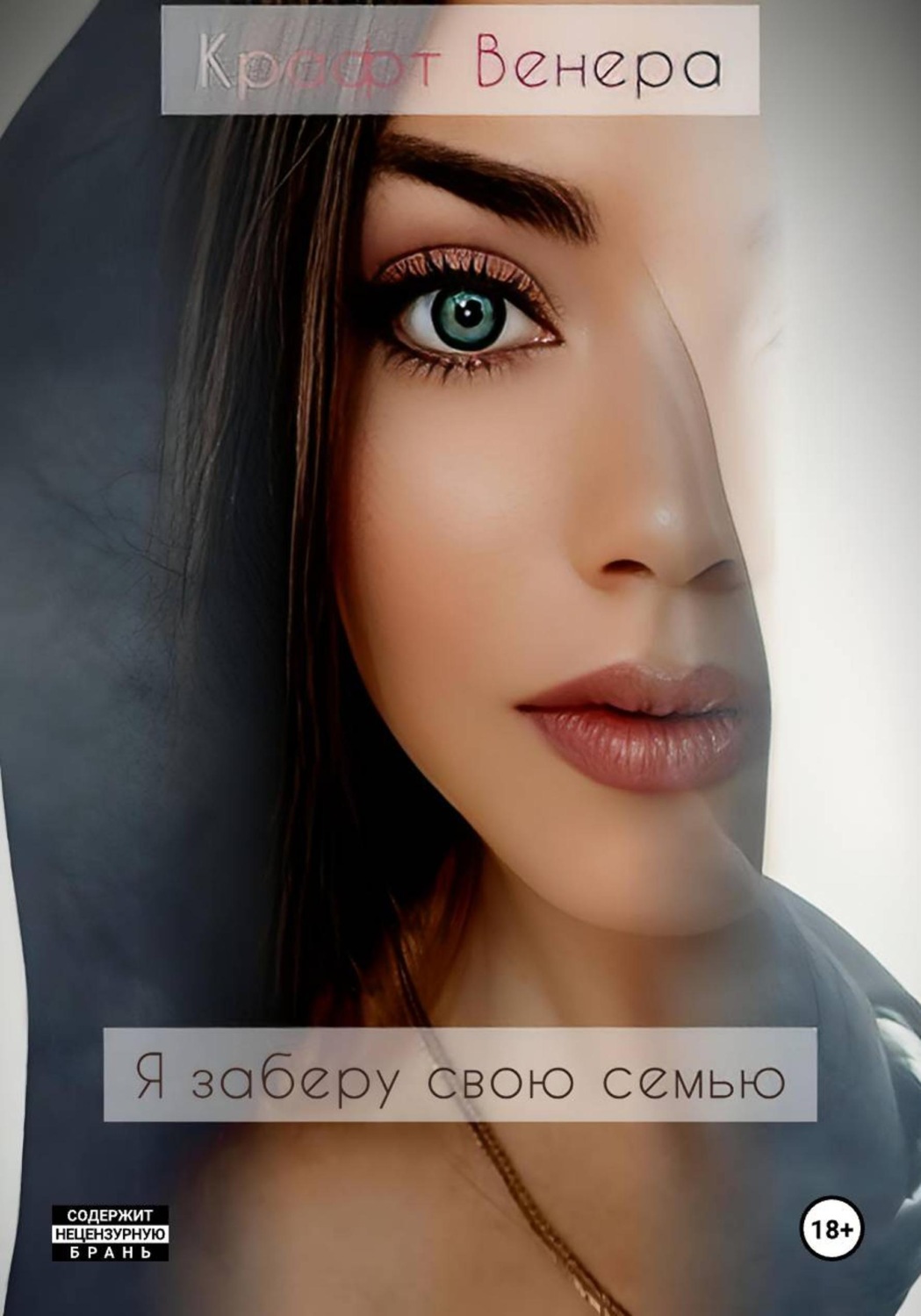 Обложка книги «Я заберу свою семью»