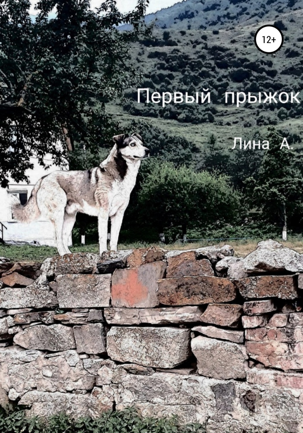 Обложка книги «Первый прыжок»
