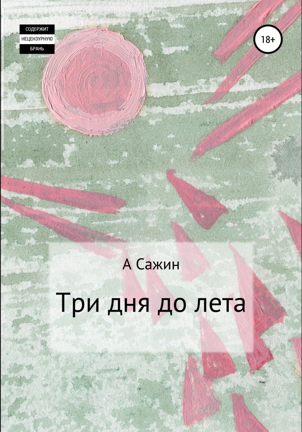 Обложка книги «Три дня до лета»
