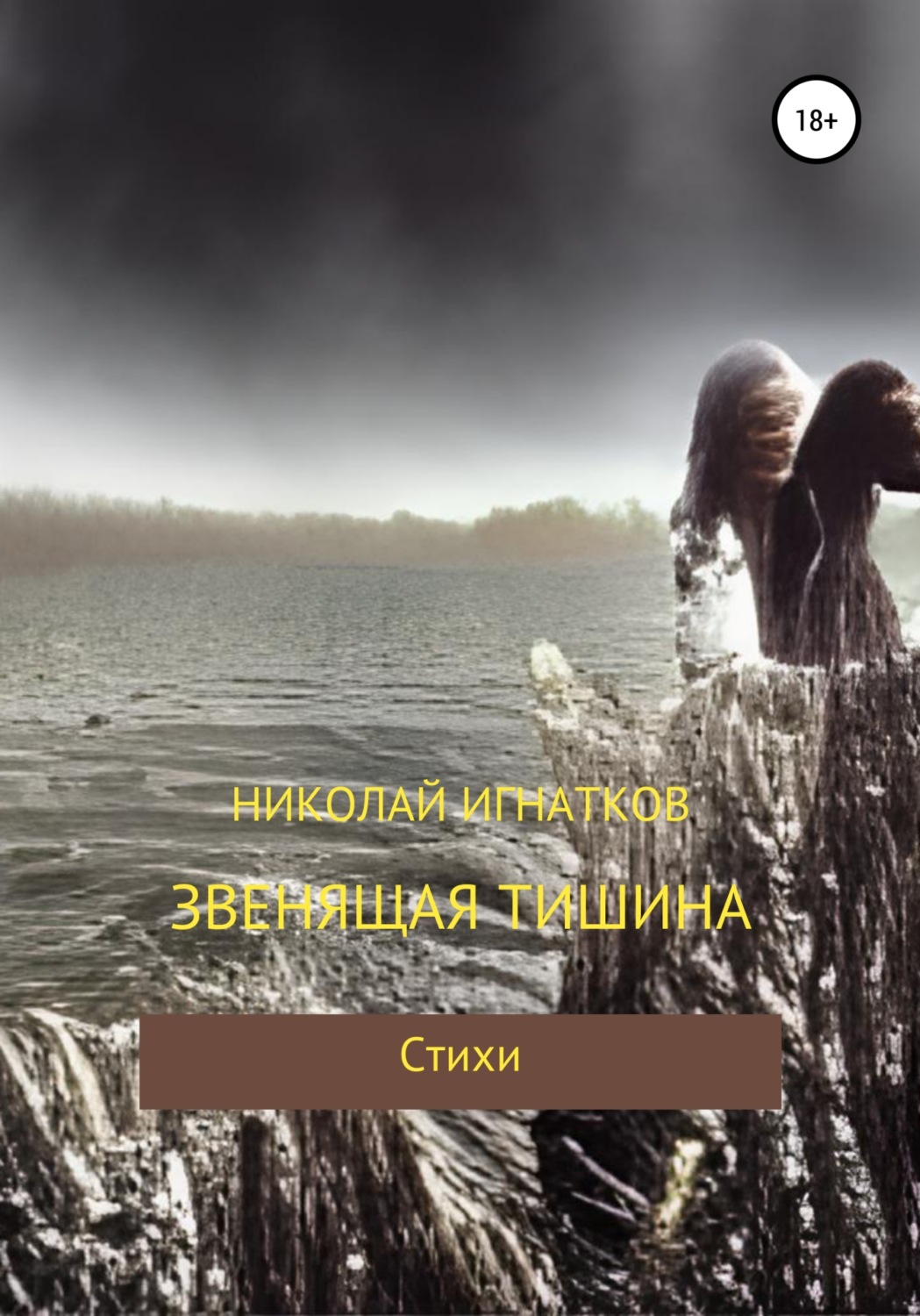 Обложка книги «Звенящая тишина»