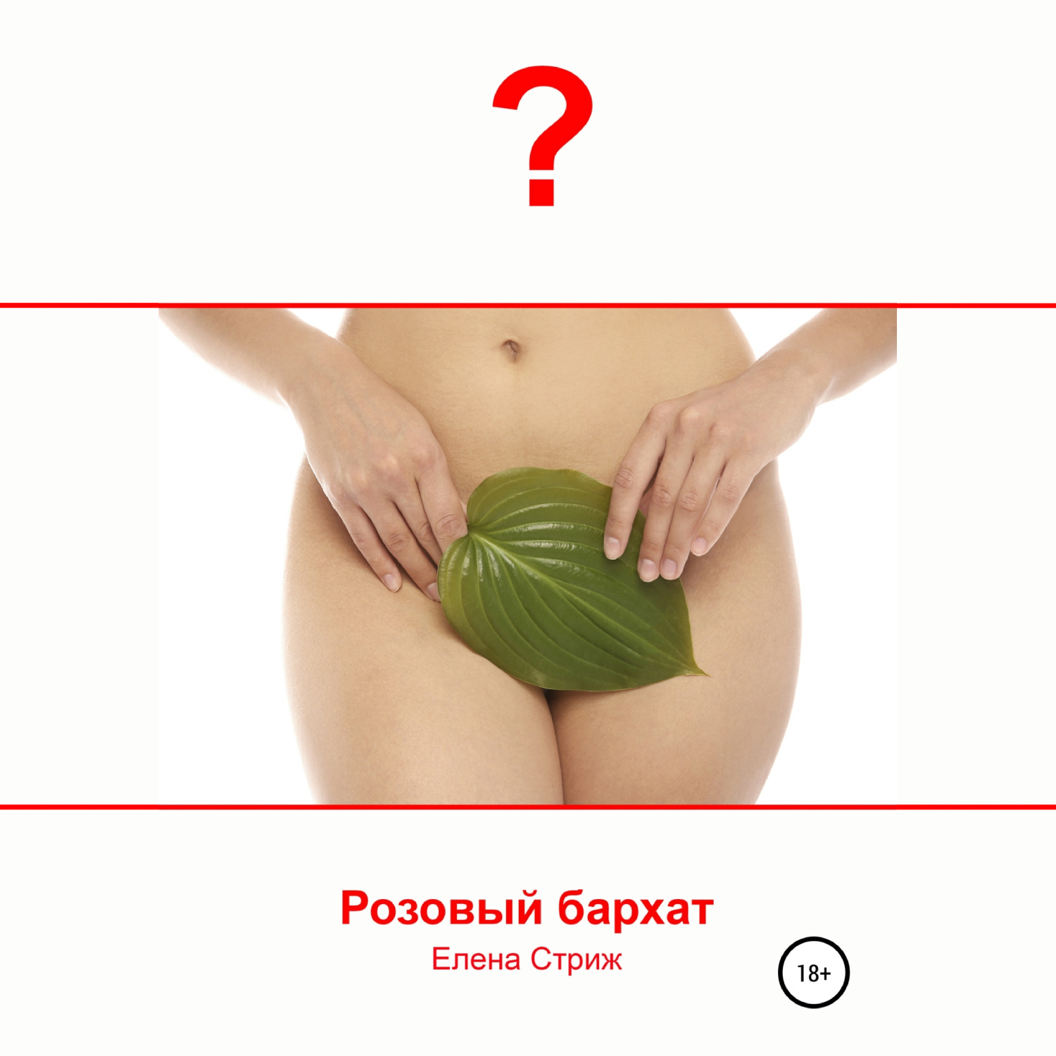 Обложка книги «Розовый бархат»