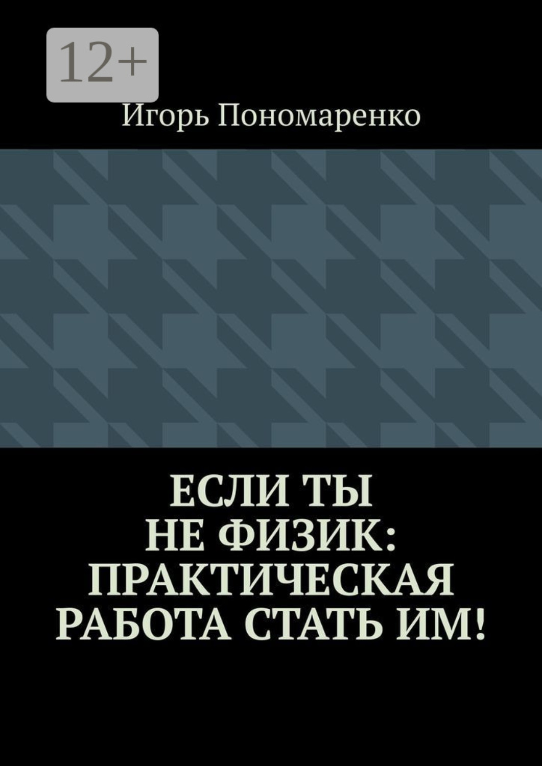 Обложка книги «Если ты не физик: практическая работа стать им!»