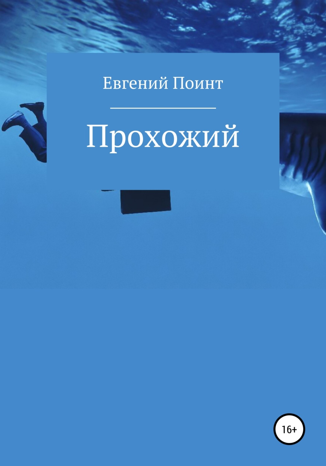 Обложка книги «Прохожий»