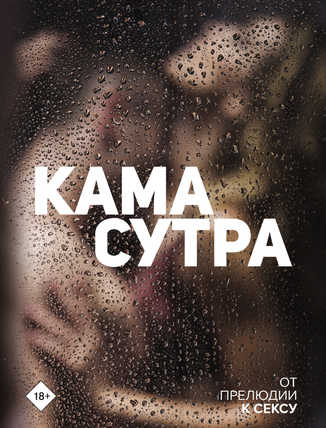 Обложка книги «Камасутра. От прелюдии к сексу»