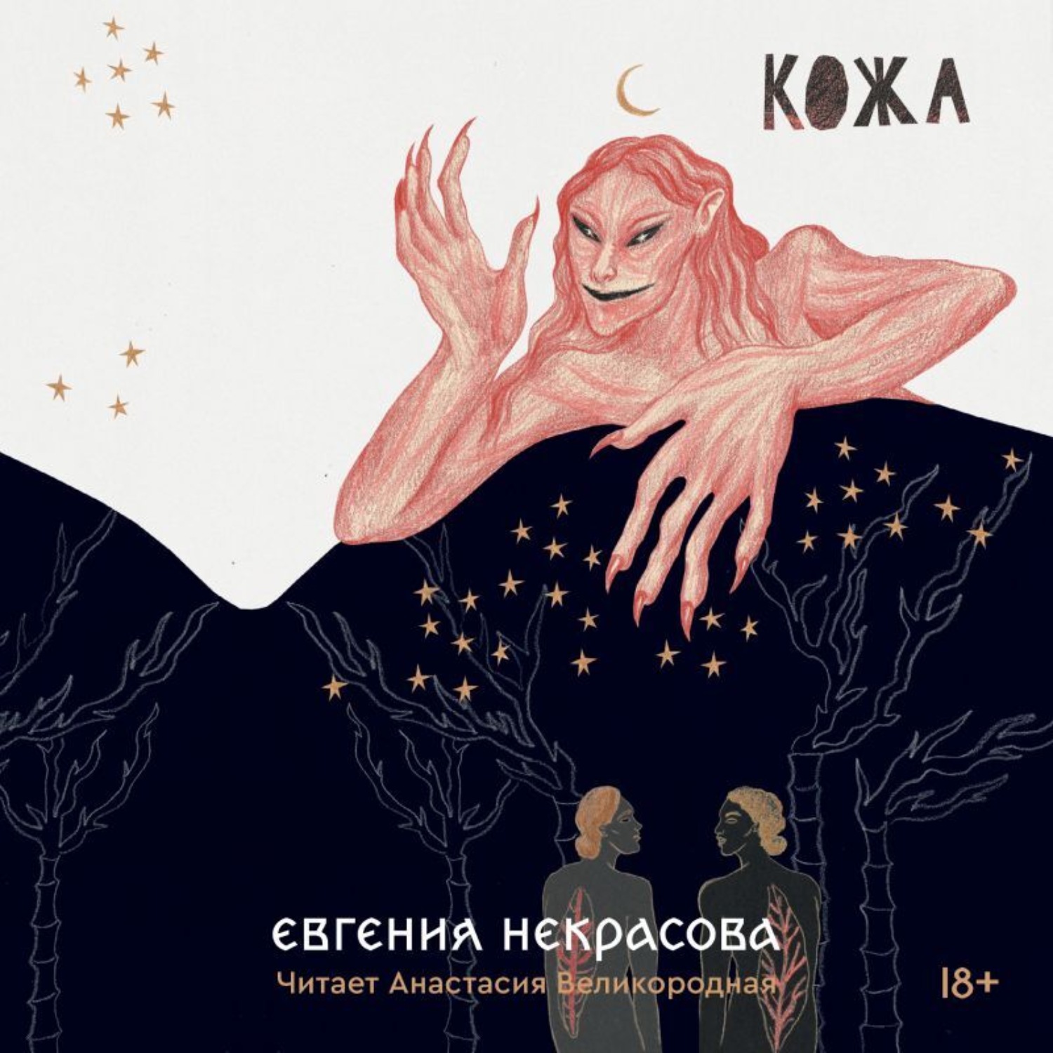 Обложка книги «Кожа»