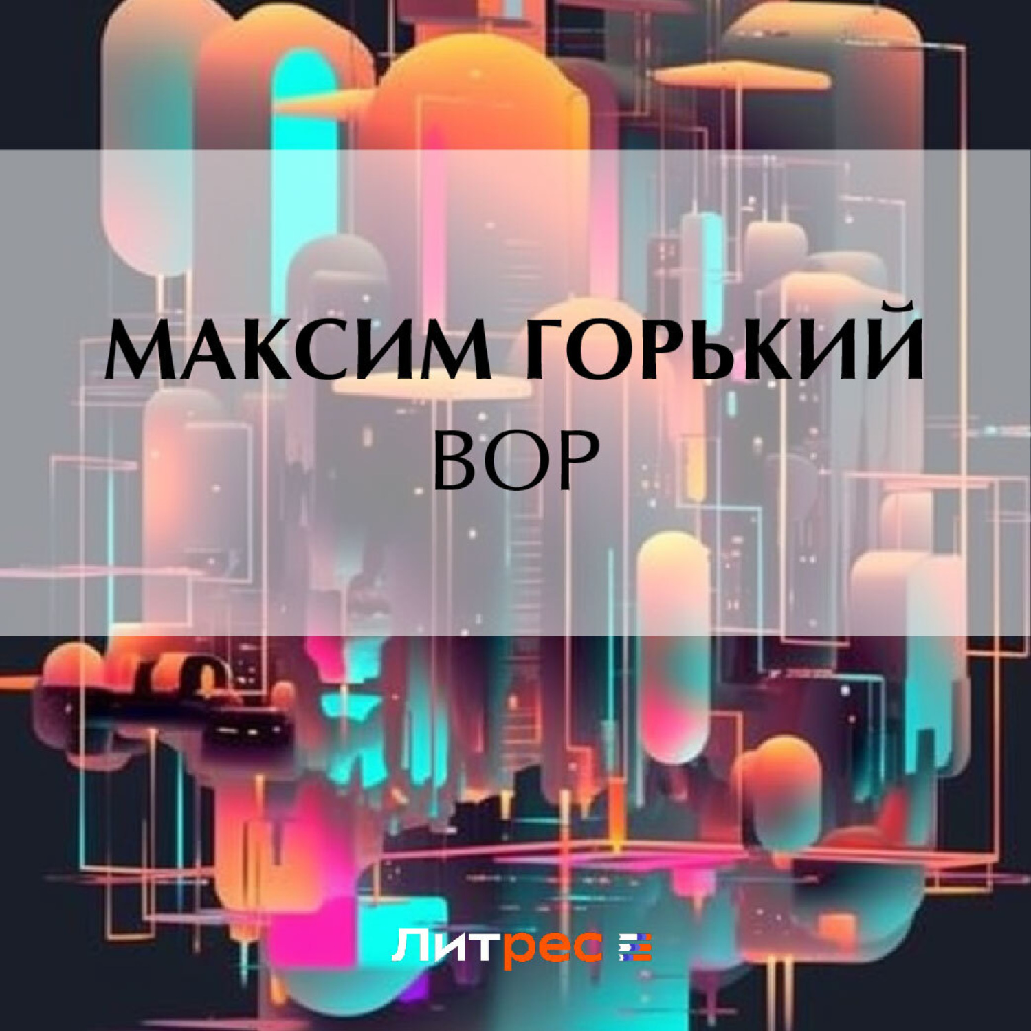 Обложка книги «Вор»