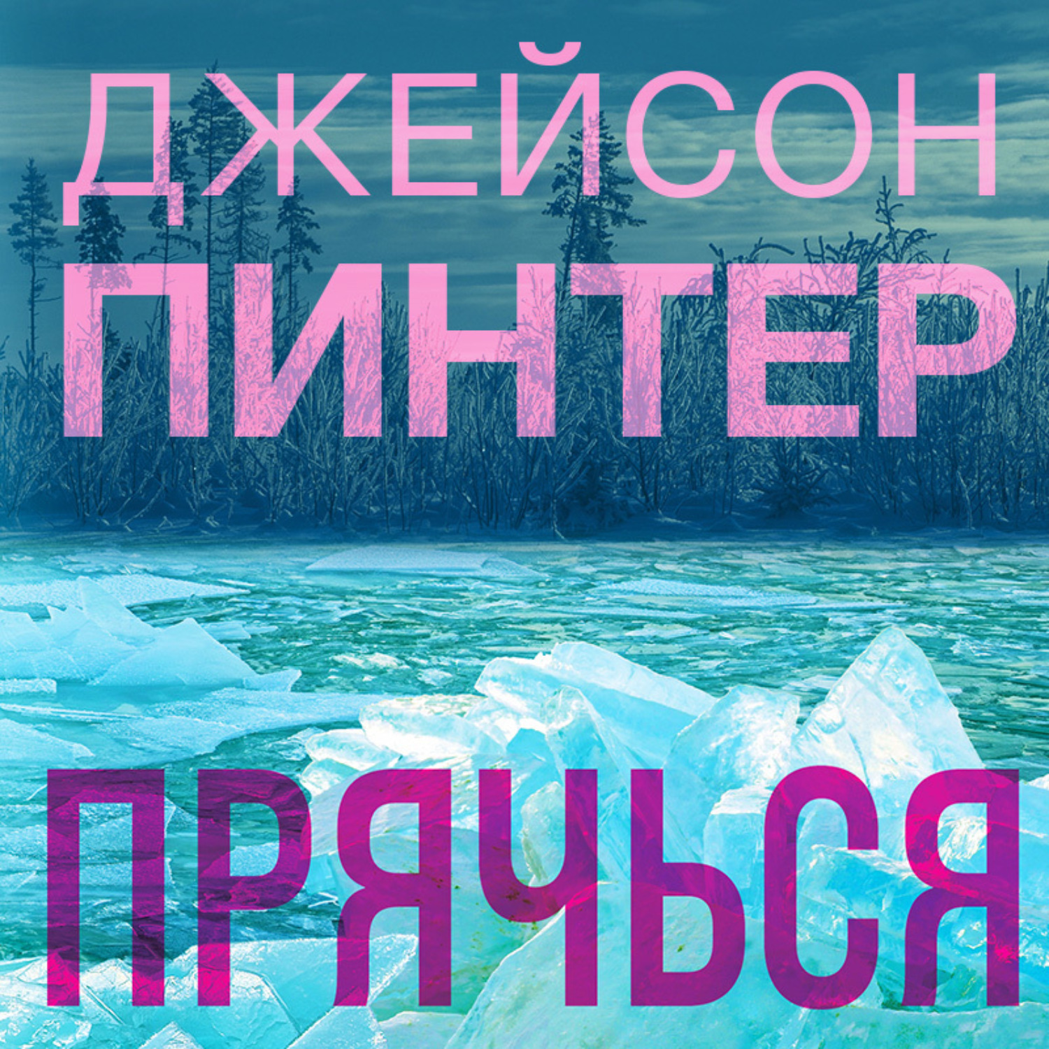 Обложка книги «Прячься»