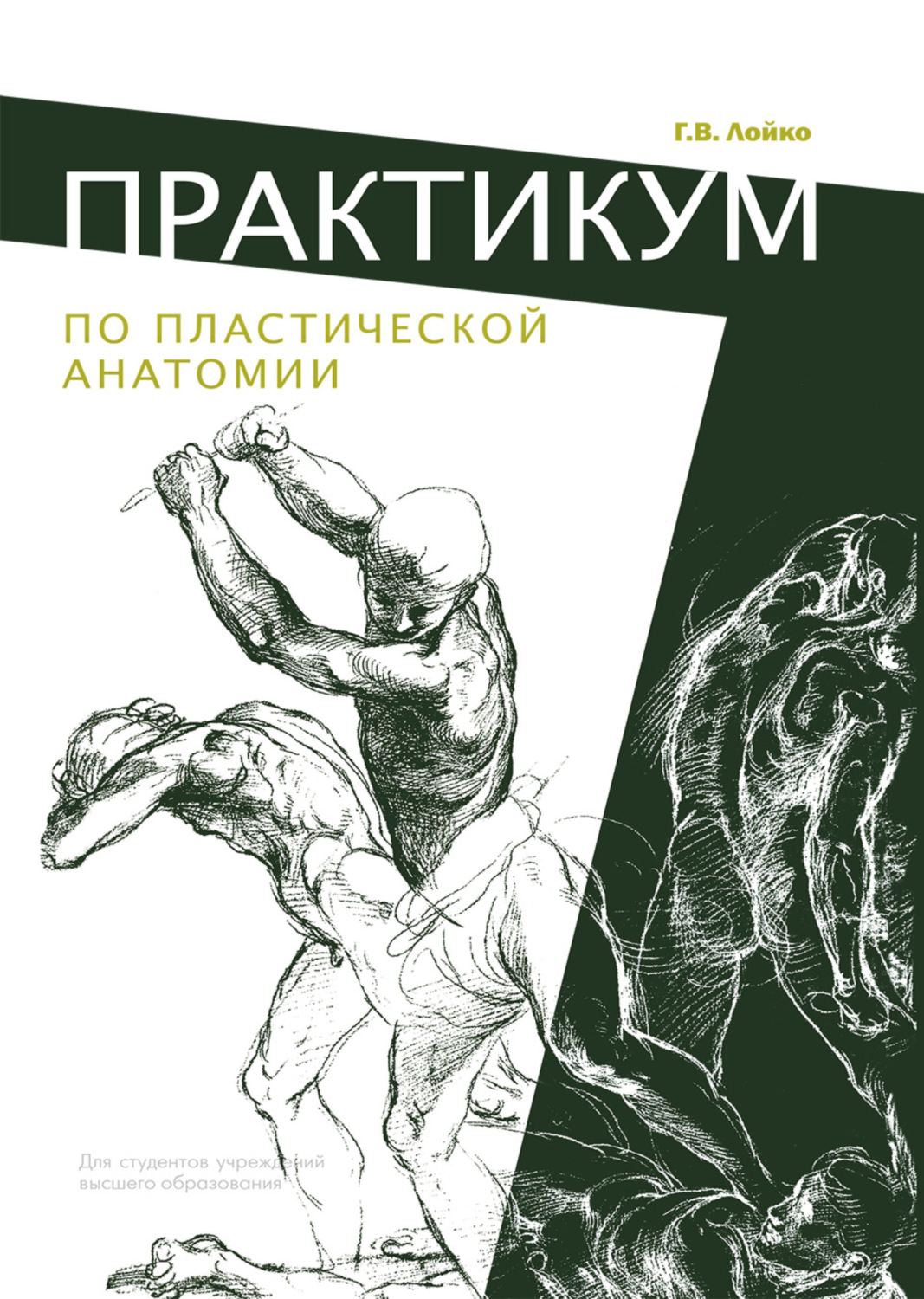 Обложка книги «Практикум по пластической анатомии»
