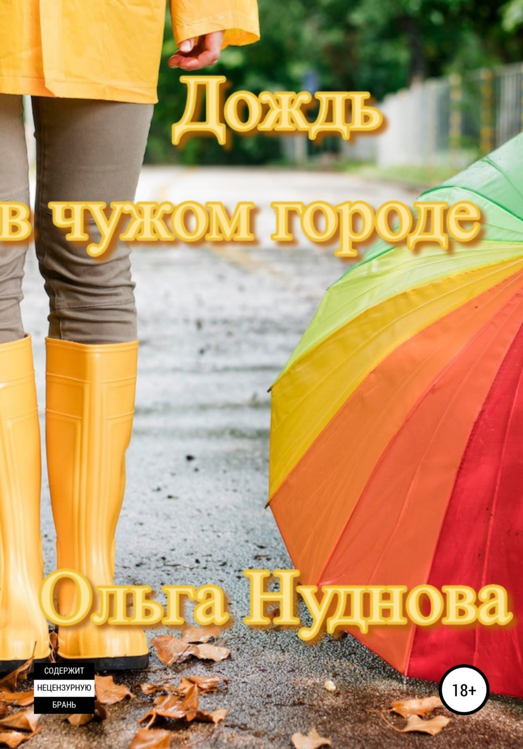 Обложка книги «Дождь в чужом городе»