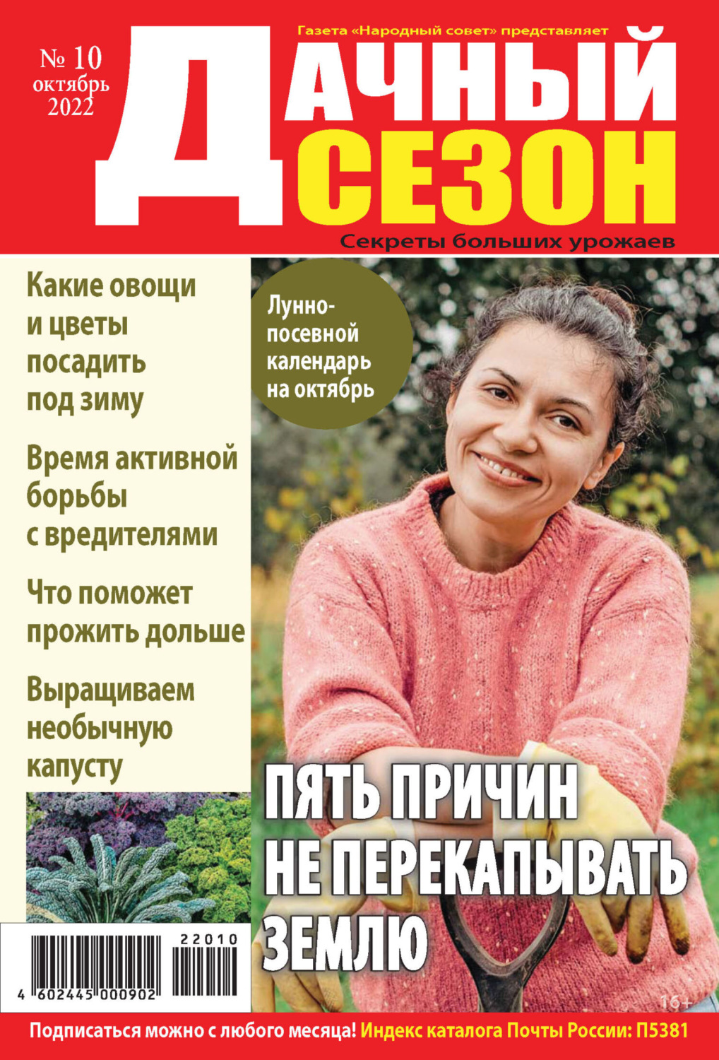 Обложка книги «Дачный сезон №10/2022»