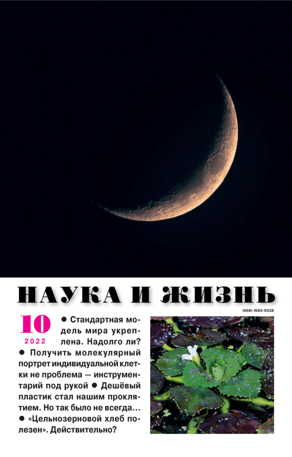 Обложка книги «Наука и жизнь №10/2022»