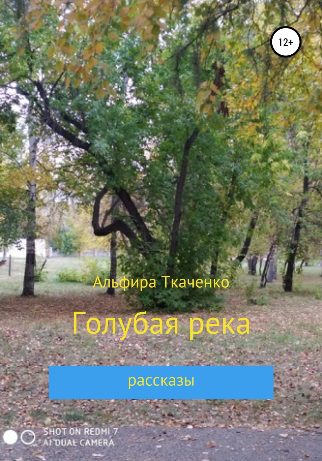 Обложка книги «Голубая река»