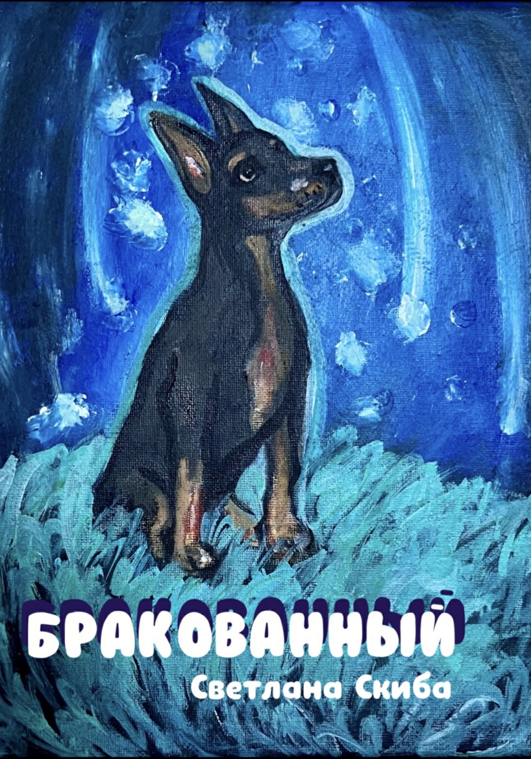 Обложка книги «Бракованный»
