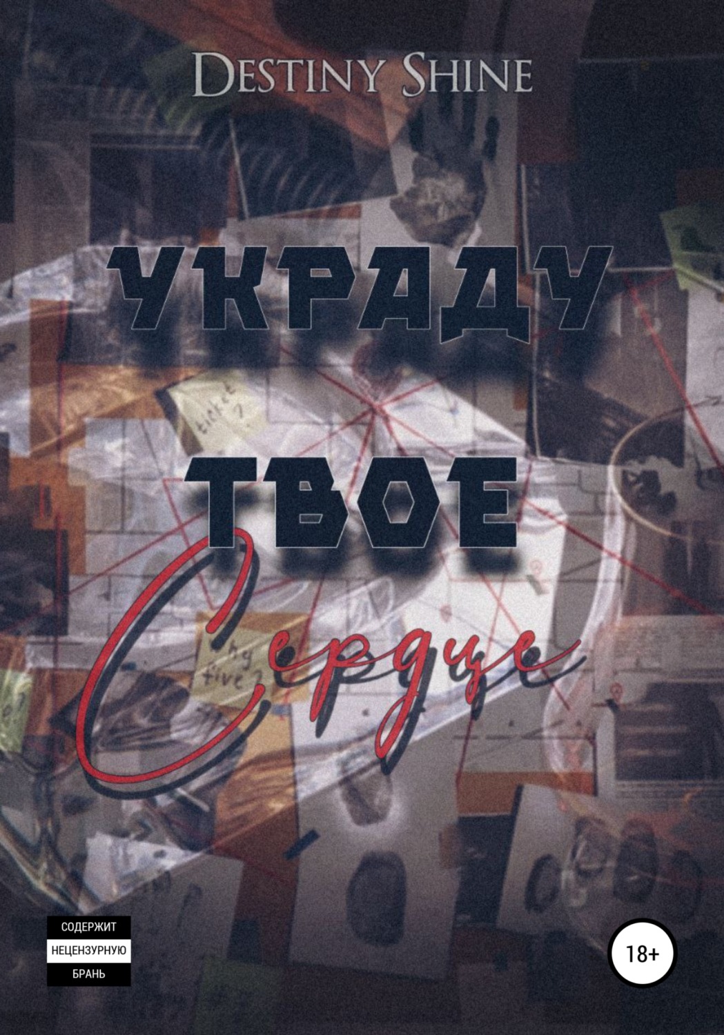 Обложка книги «Украду твое сердце»