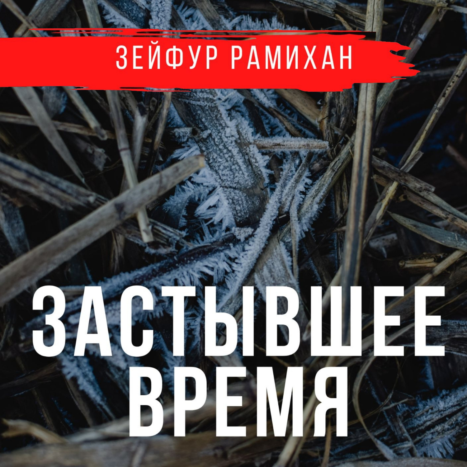 Обложка книги «Застывшее время»