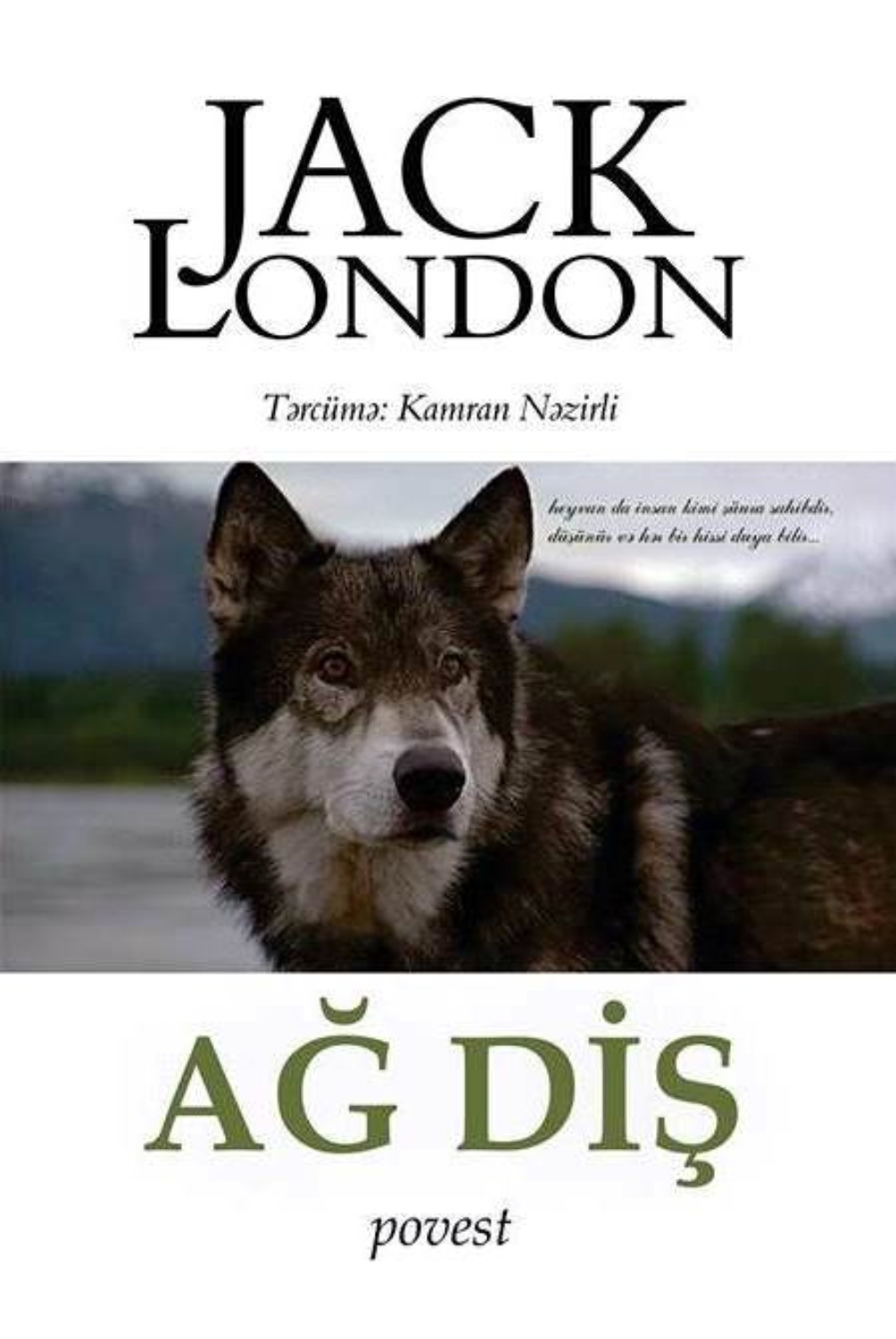 Обложка книги «Ağ diş»