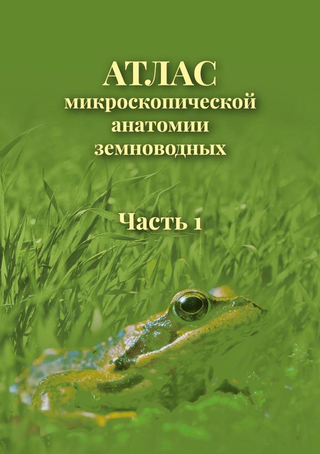 Обложка книги «Атлас микроскопической анатомии земноводных. Часть 1»