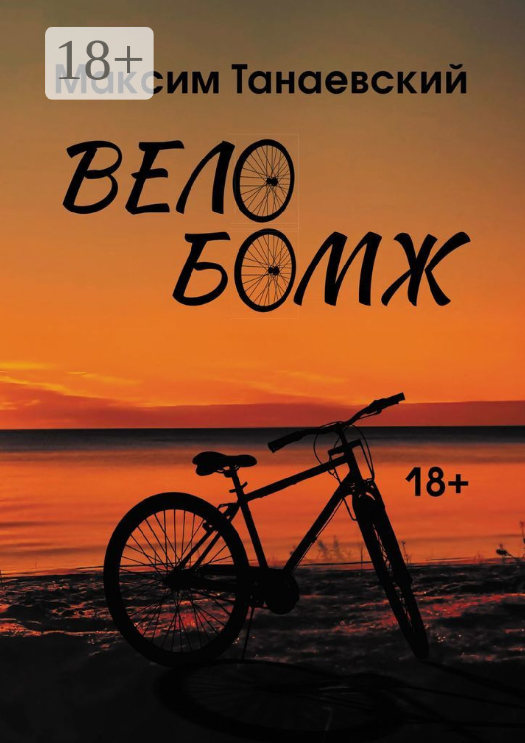 Обложка книги «Велобомж»