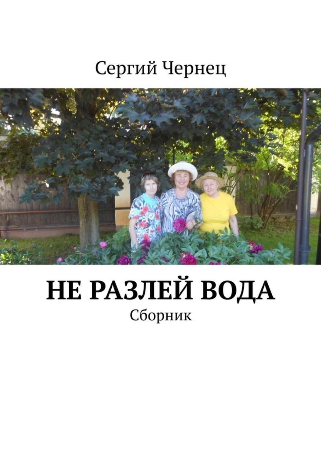 Обложка книги «Не разлей вода. Сборник»