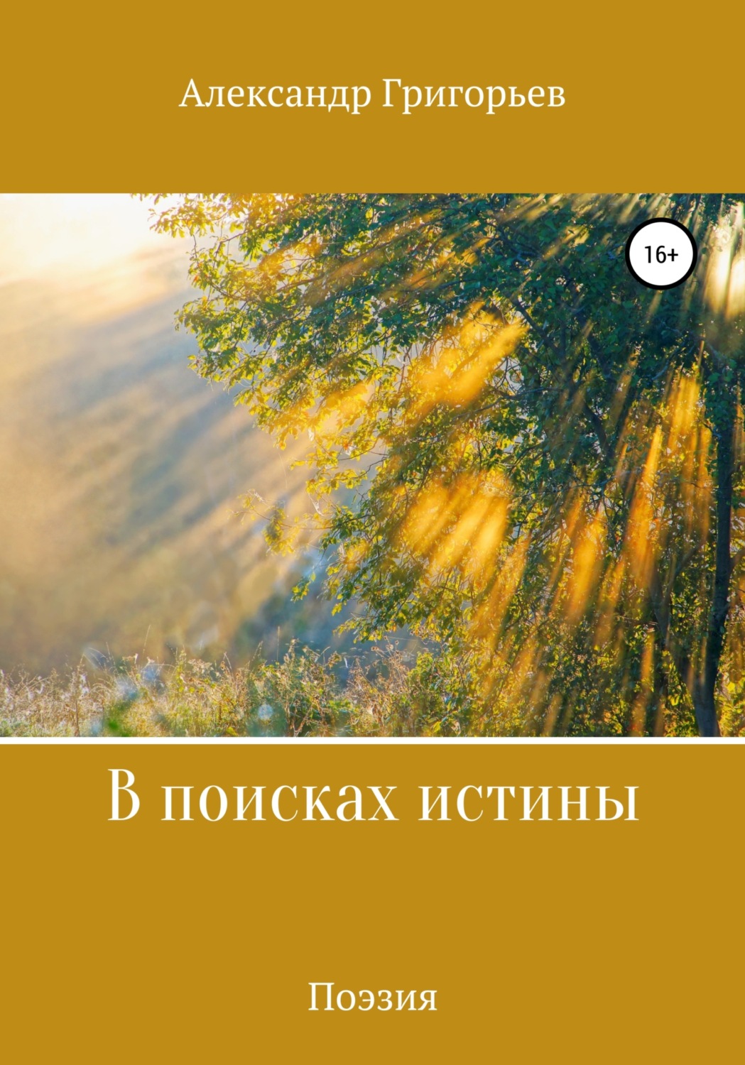 Обложка книги «В поисках истины»