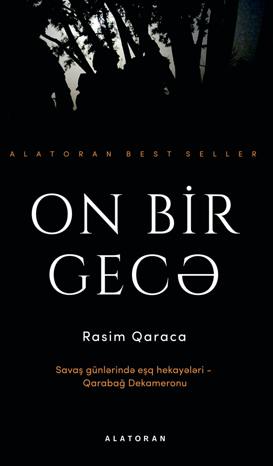 Обложка книги «On bir gecə»