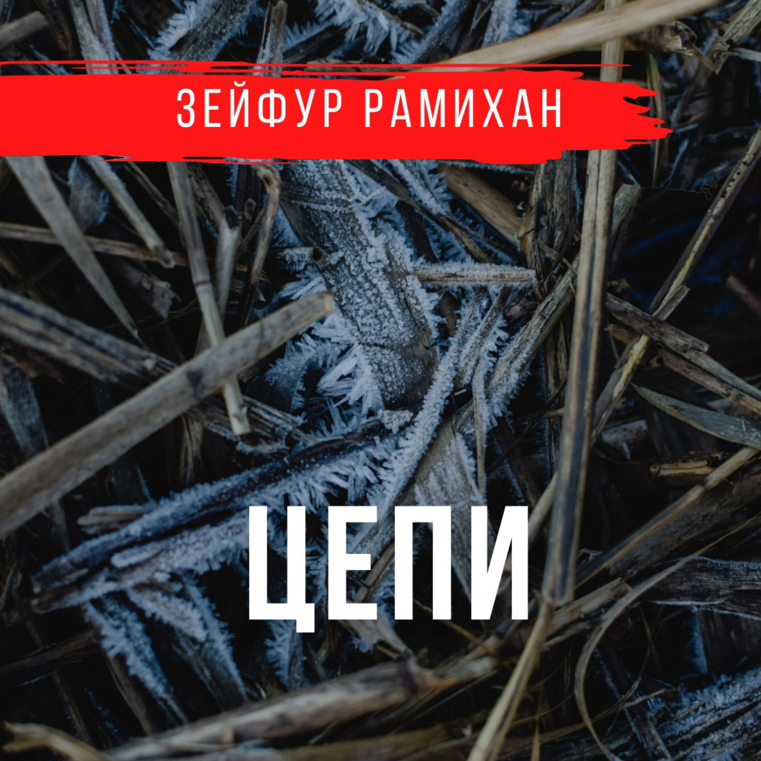Обложка книги «Цепи»