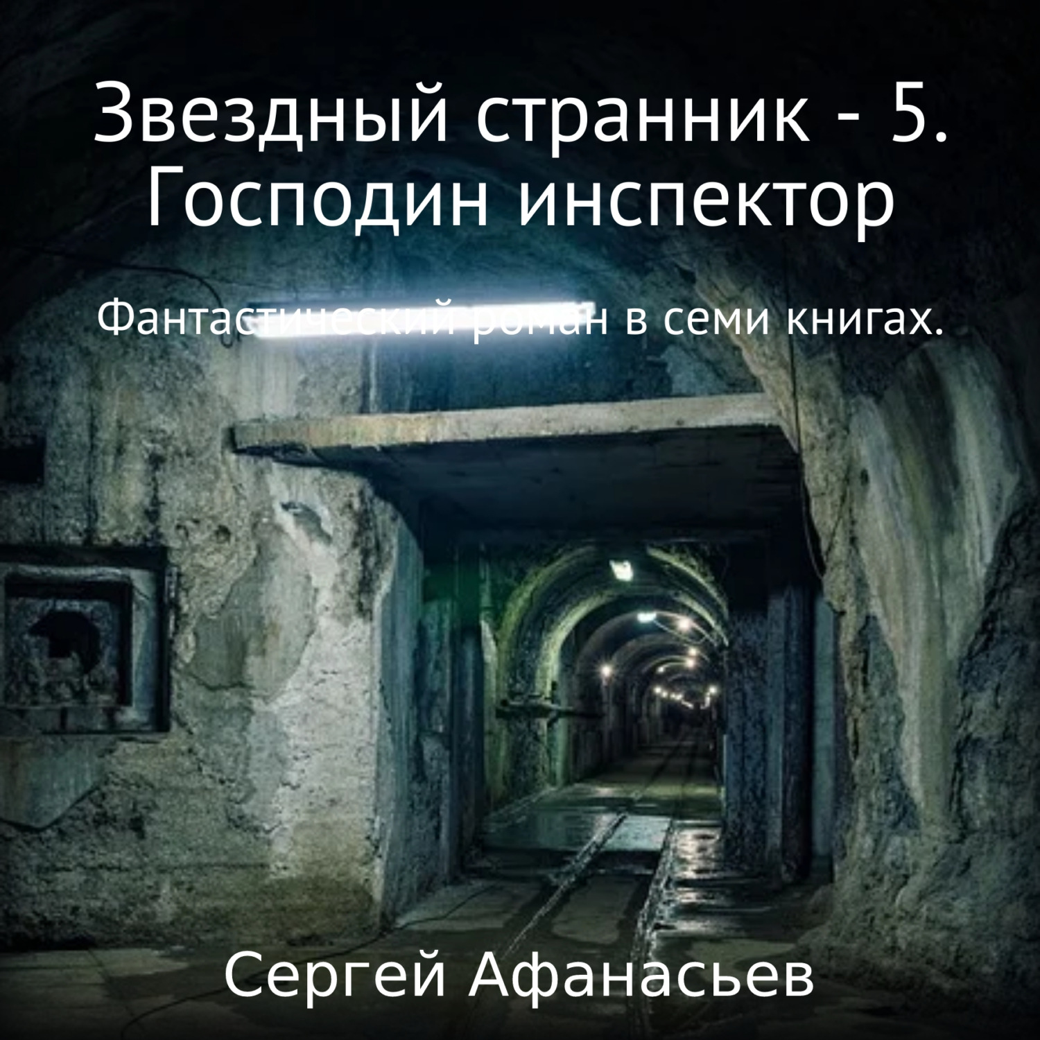 Обложка книги «Звездный странник – 5. Господин инспектор»