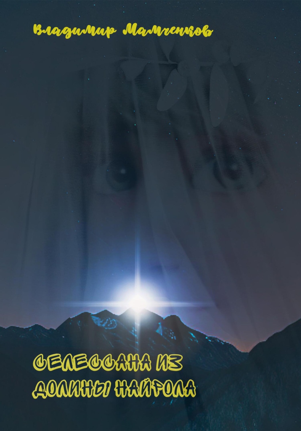 Обложка книги «Селессана из долины Найрола»