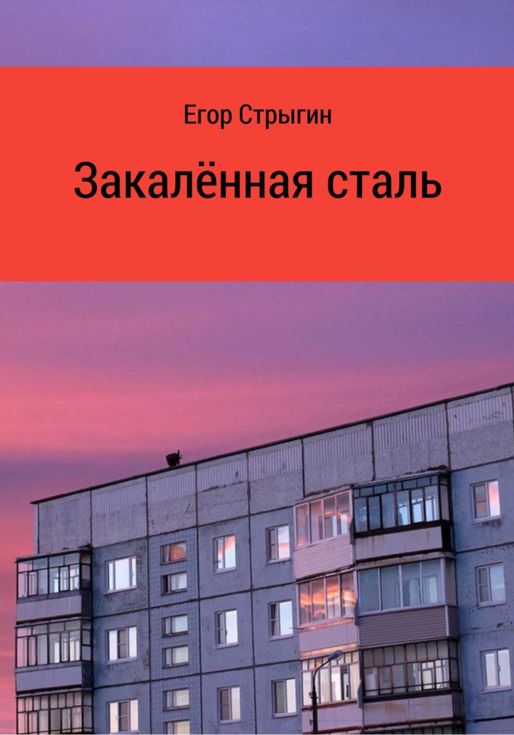 Обложка книги «Закалённая сталь»