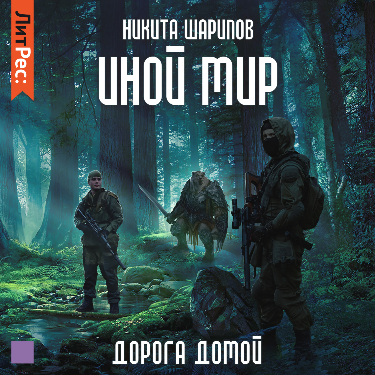 Обложка книги «Иной мир. Дорога домой»