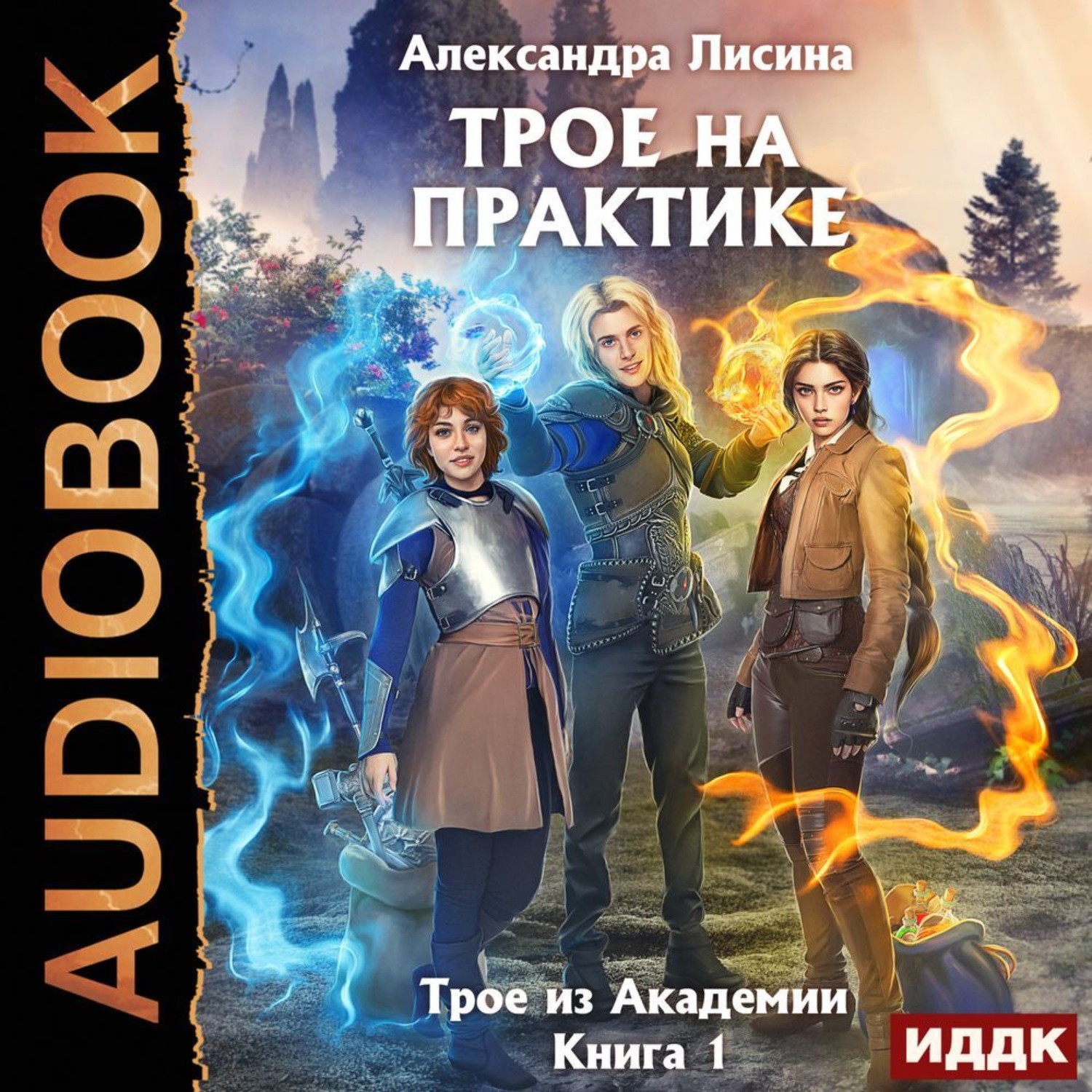 Обложка книги «Трое на практике»