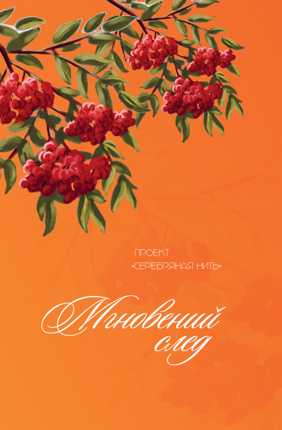 Обложка книги «Мгновений след»