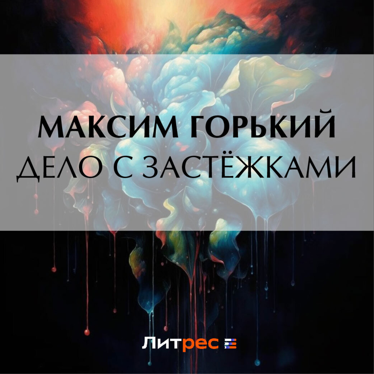 Обложка книги «Дело с застёжками»