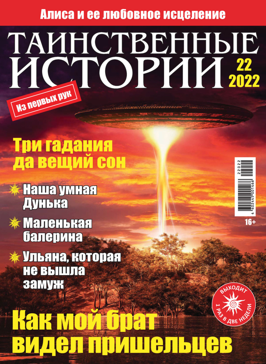 Обложка книги «Таинственные истории №22/2022»