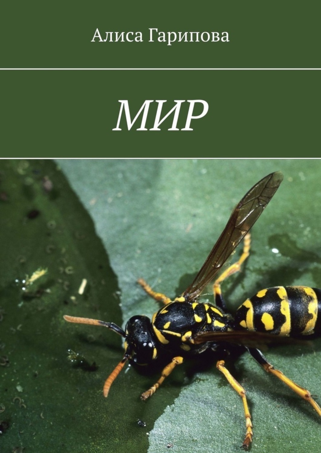 Обложка книги «Мир»