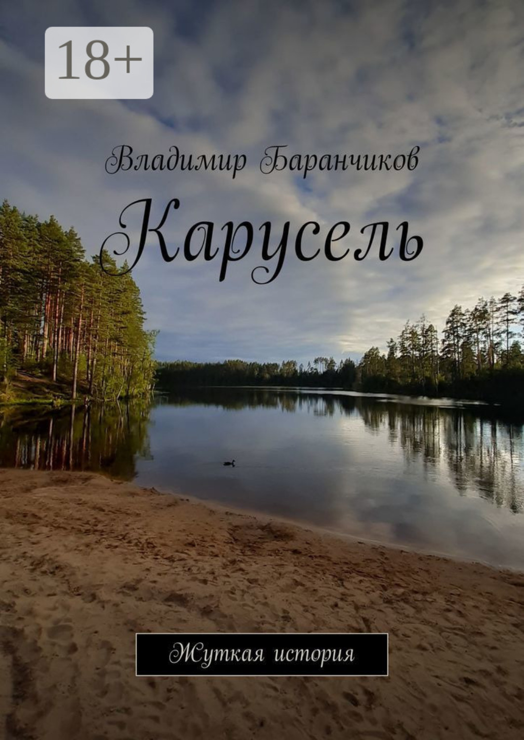 Обложка книги «Карусель. Жуткая история»