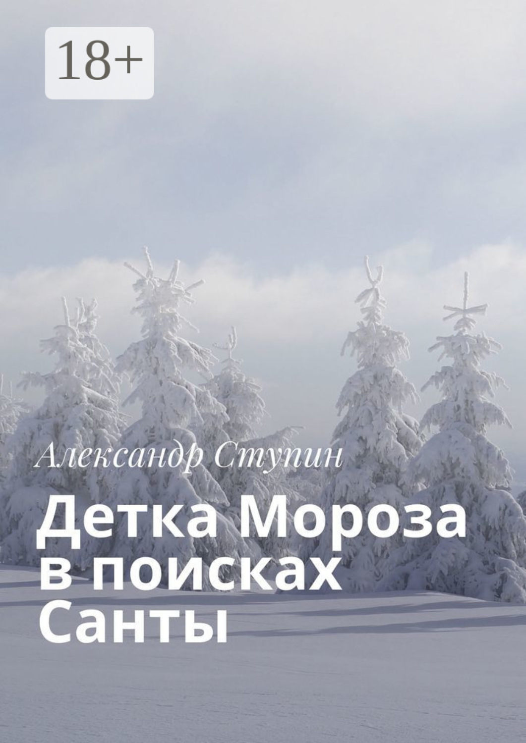 Обложка книги «Детка Мороза в поисках Санты»