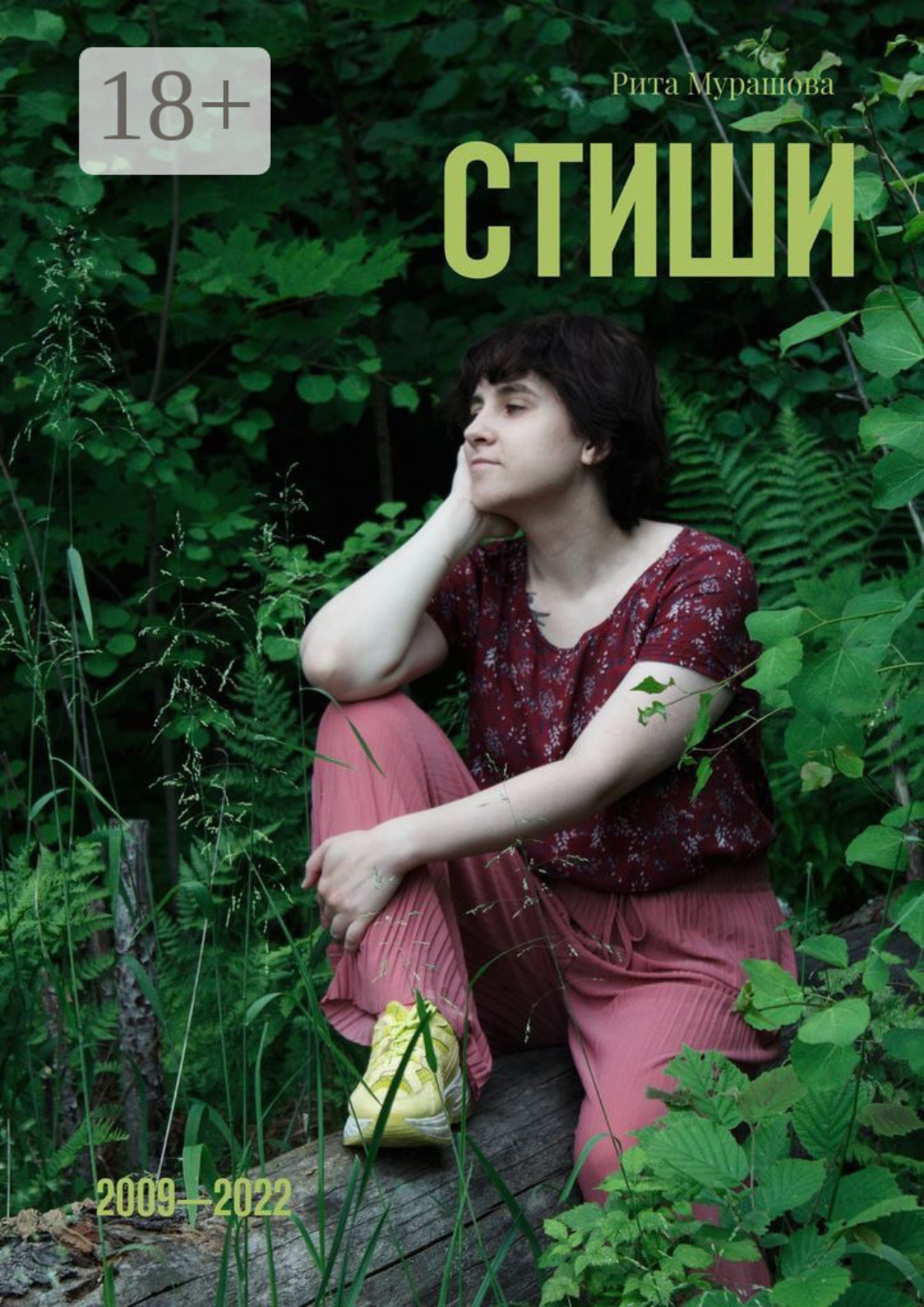 Обложка книги «Стиши. 2009—2022»