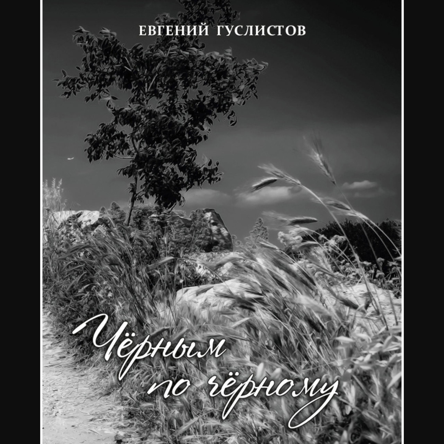 Обложка книги «Черным по черному»