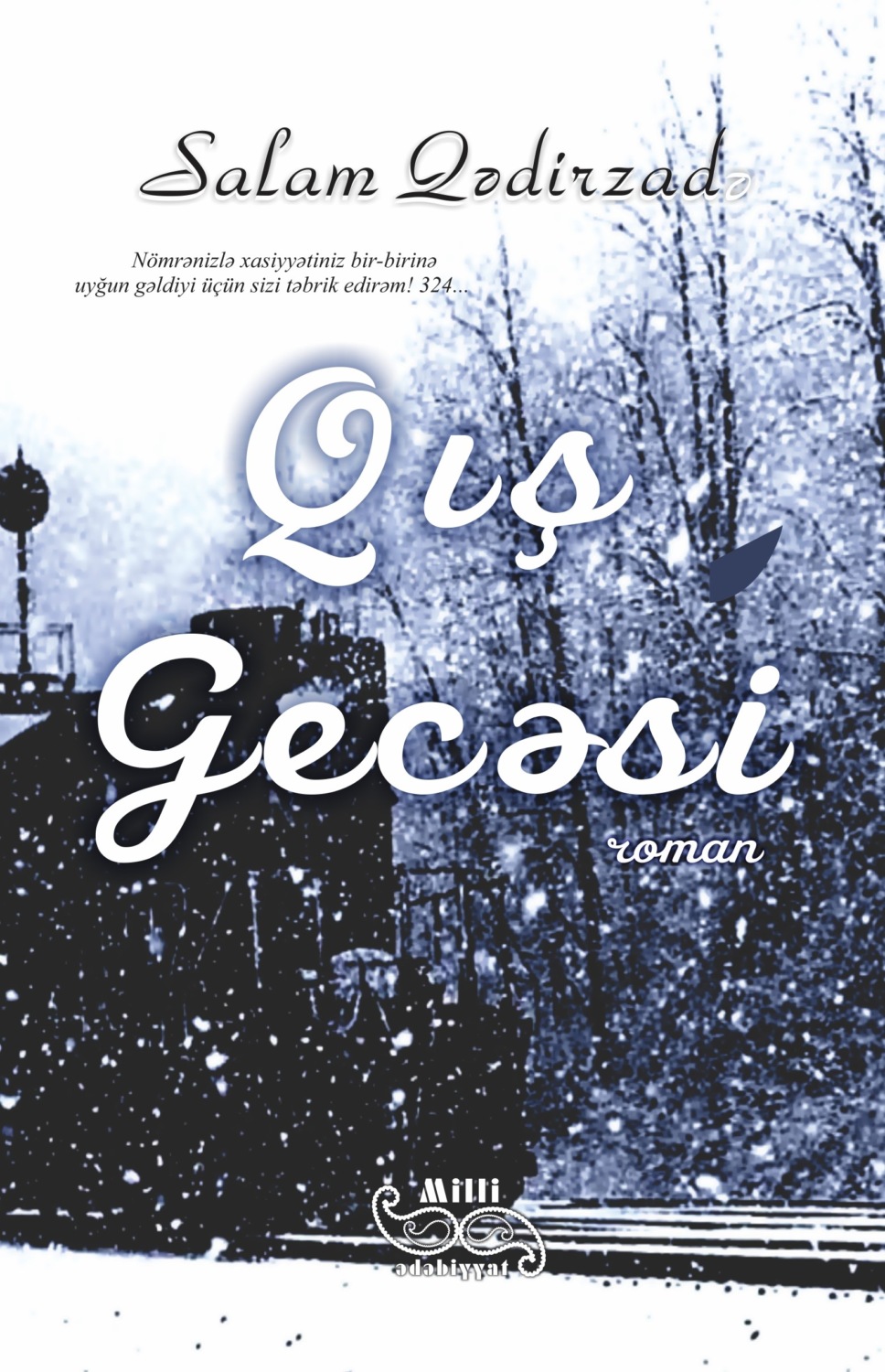 Обложка книги «Qış gecəsi»
