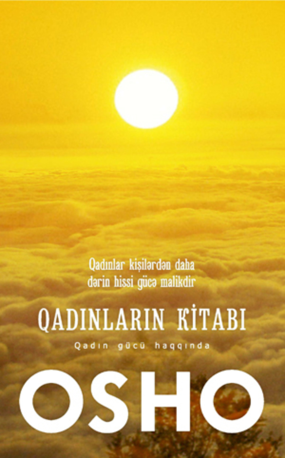 Обложка книги «Qadinlarin Kitabi»