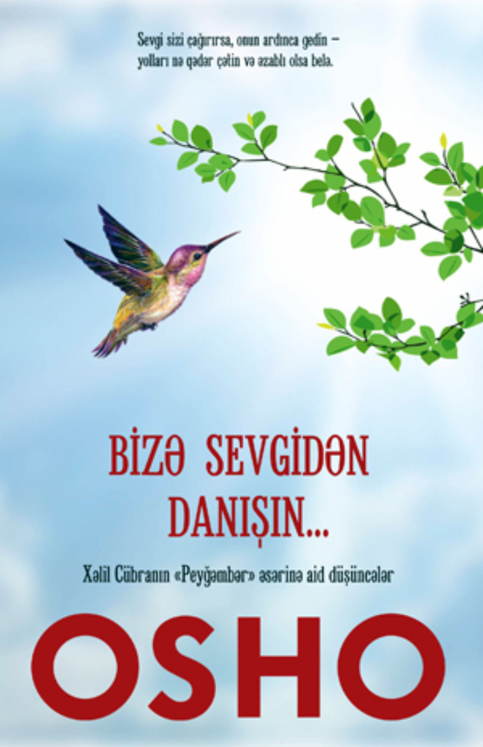 Обложка книги «Bizə Sevgidən Danışın...»