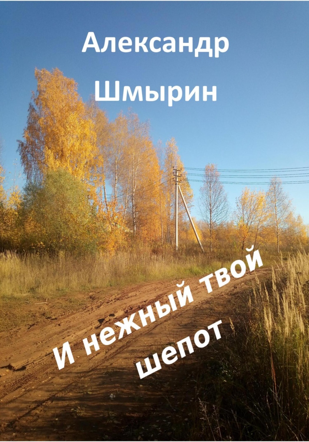 Обложка книги «И нежный твой шепот»