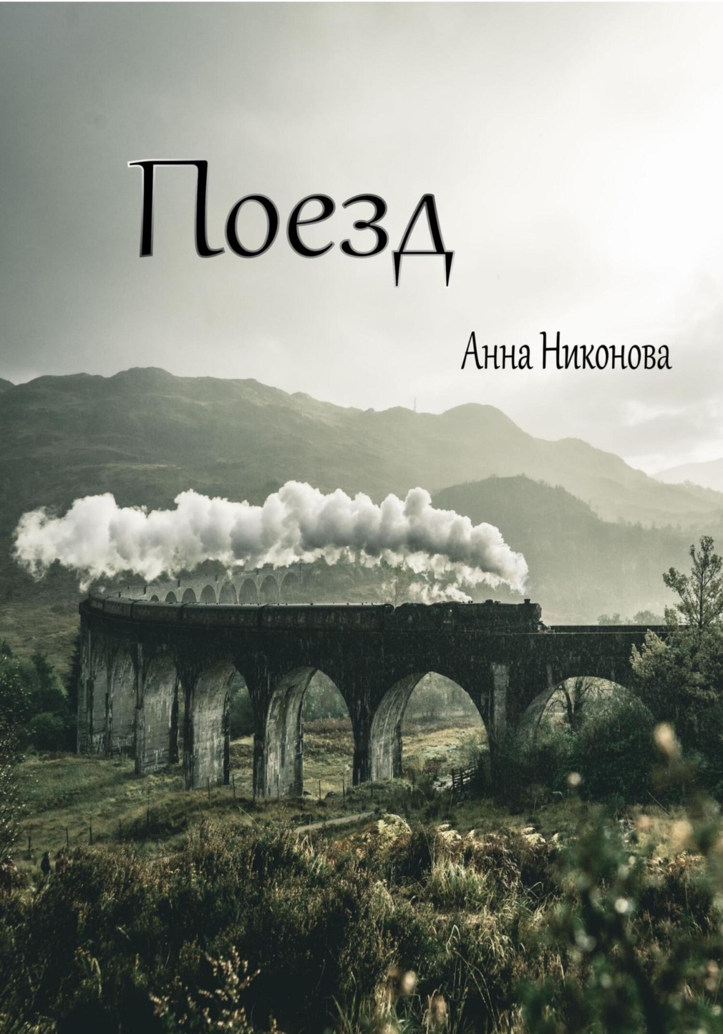 Обложка книги «Поезд»