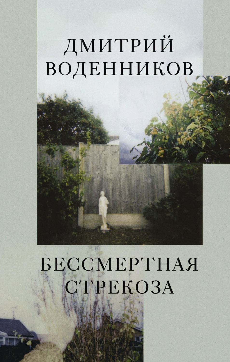 Обложка книги «Бессмертная стрекоза»