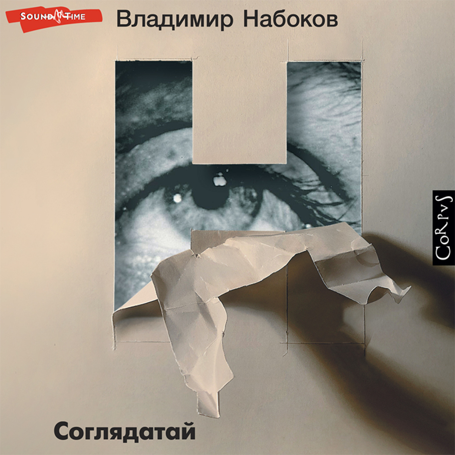 Обложка книги «Соглядатай»