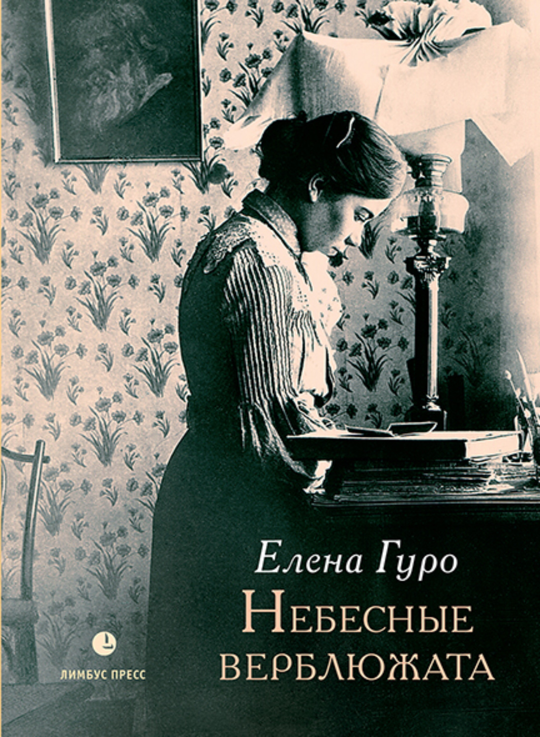 Обложка книги «Небесные верблюжата»