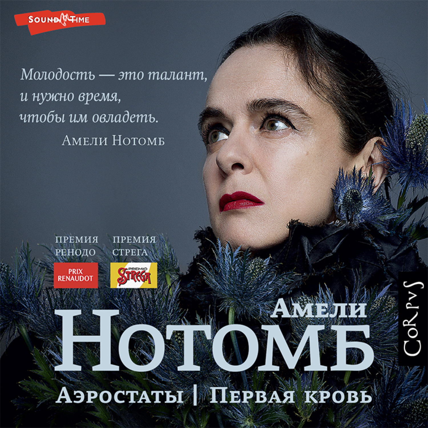 Обложка книги «Аэростаты. Первая кровь»