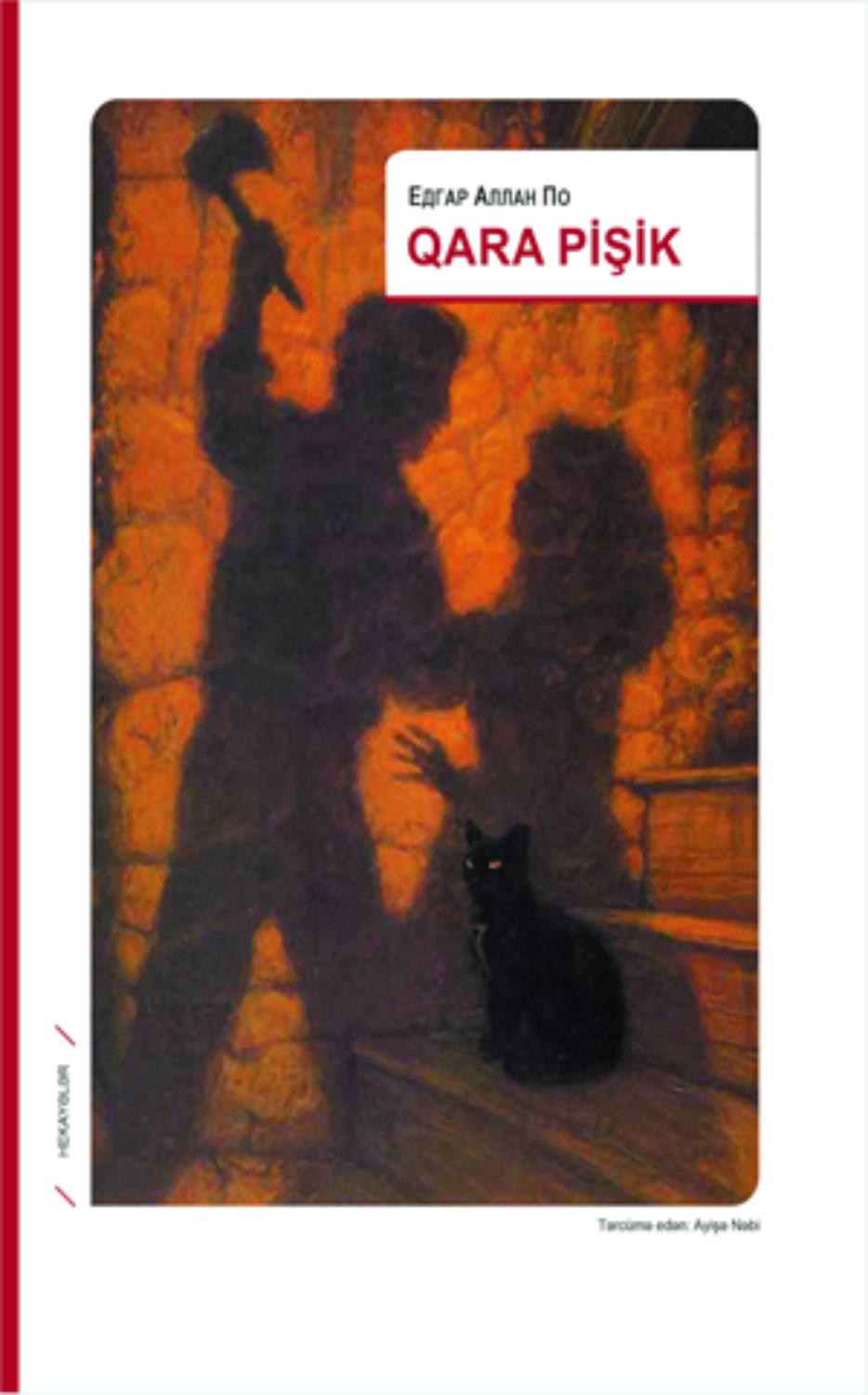 Обложка книги «QARA PİŞİK»